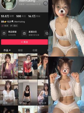 抖音 WenYuking 微密圈合集资源下载